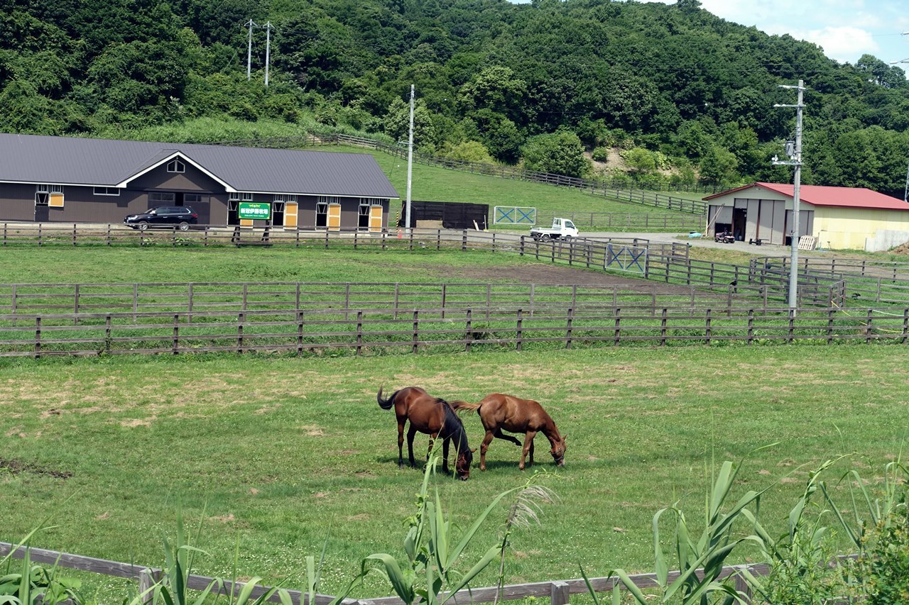 e0167780_22074804.jpg