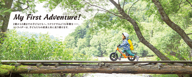 ストライダー全色そろいました_b0189682_14414371.jpg