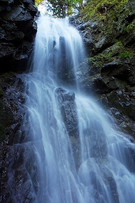 c0324983_10163852.jpg