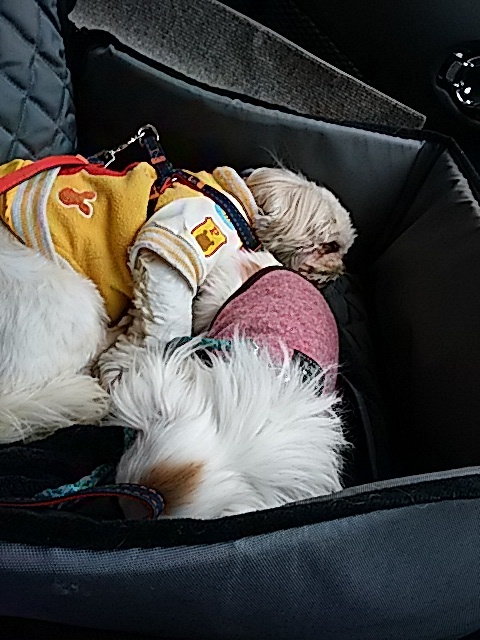 f0280186_21183449.jpg