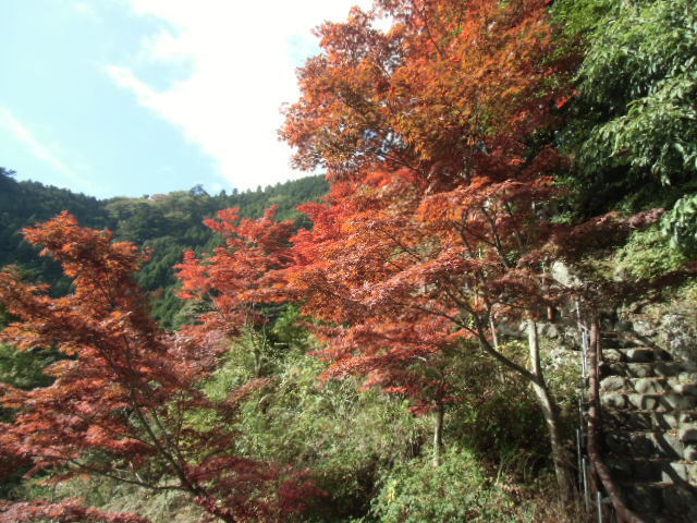 e0114588_11145588.jpg