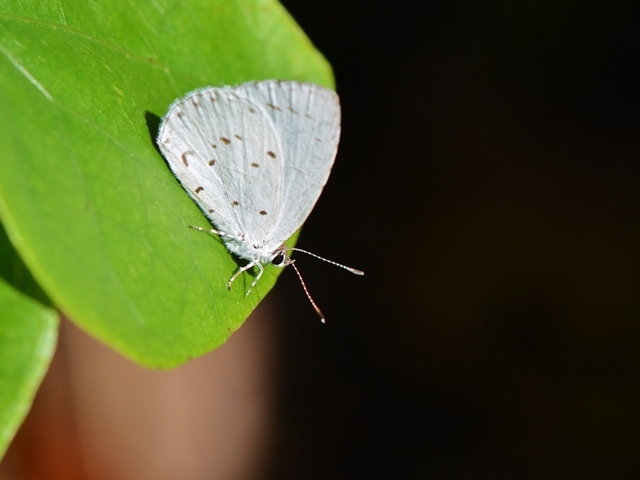f0310988_13285518.jpg