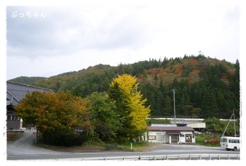 f0353990_14042306.jpg