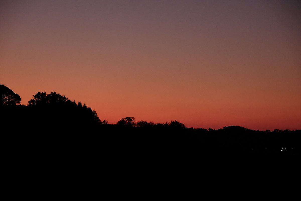 d0234293_19415831.jpg