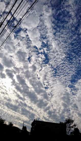 f0231393_17153939.jpg
