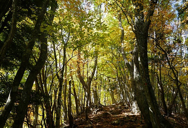 a0339396_23315738.jpg