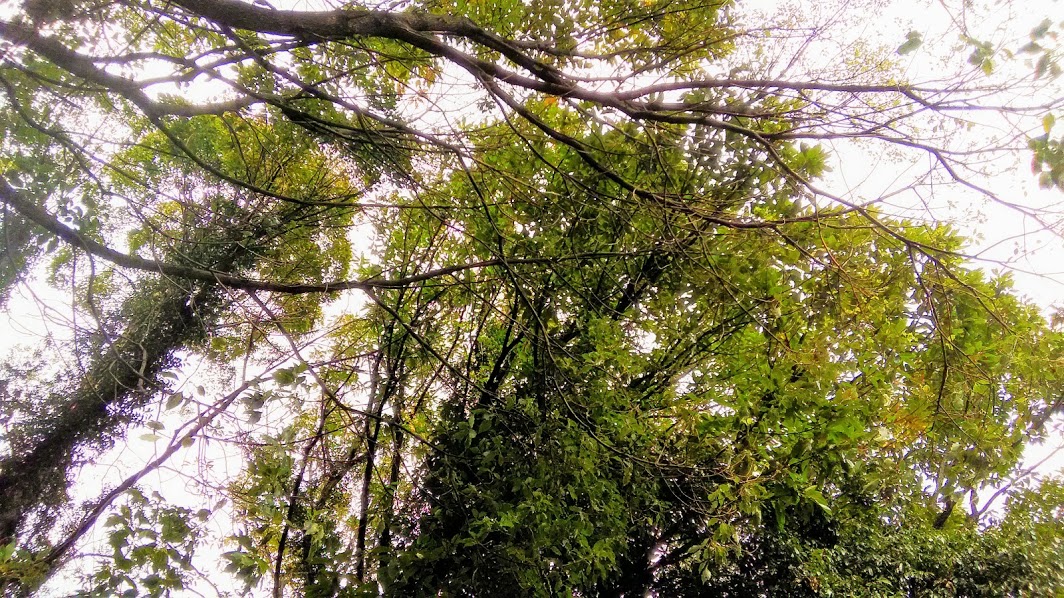 c0221299_10574554.jpg