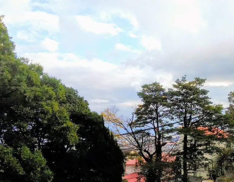 c0221299_1059541.jpg