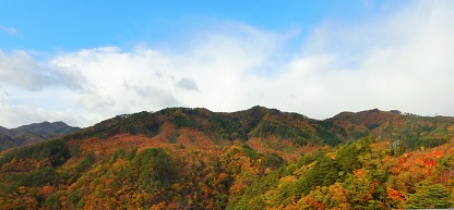 e0077899_12292364.jpg