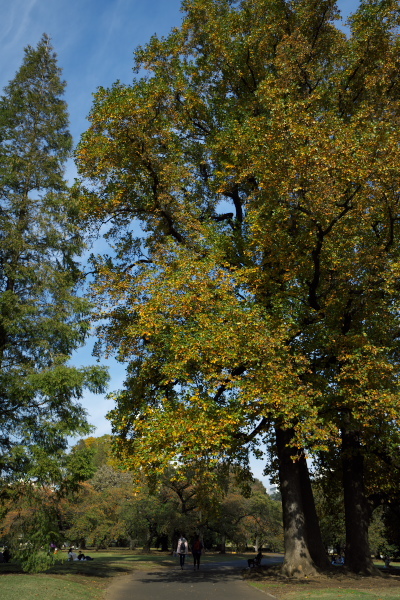 f0233999_13571571.jpg