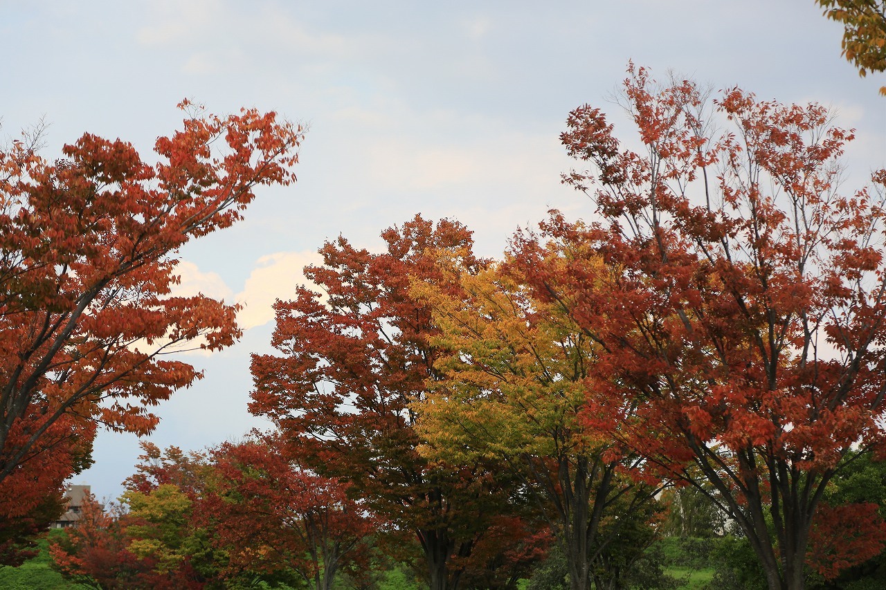 AP公園で_f0296999_13542760.jpg