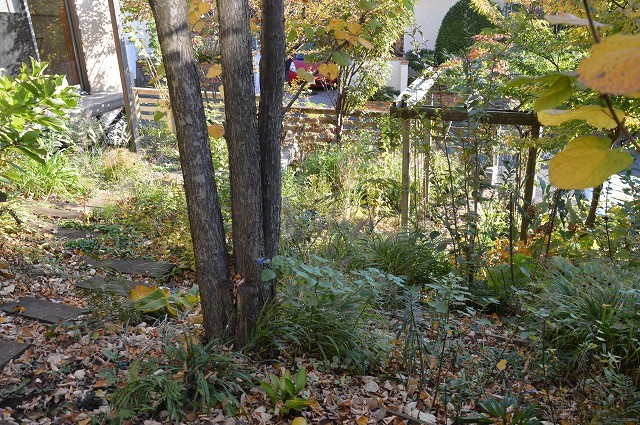 c0124100_16292715.jpg