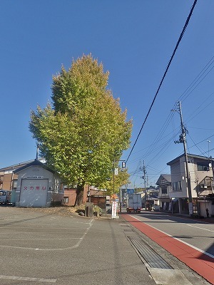 c0336902_19444835.jpg