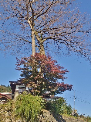 c0336902_19445706.jpg