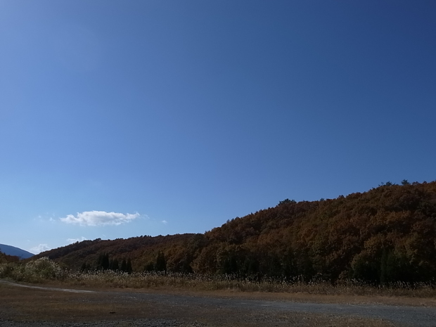 f0197703_12021777.jpg