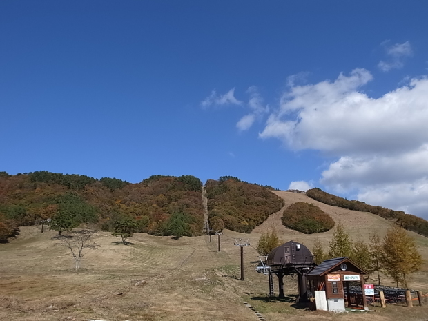 f0197703_12030680.jpg