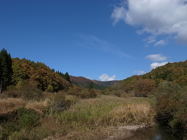 f0197703_12075837.jpg