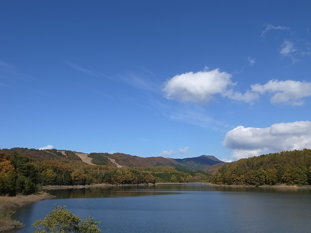 f0197703_12085299.jpg