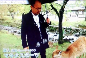 趣味どきっ！　国宝に会いに行く　第５回「東大寺・金剛力士像」_b0044404_10245292.jpg