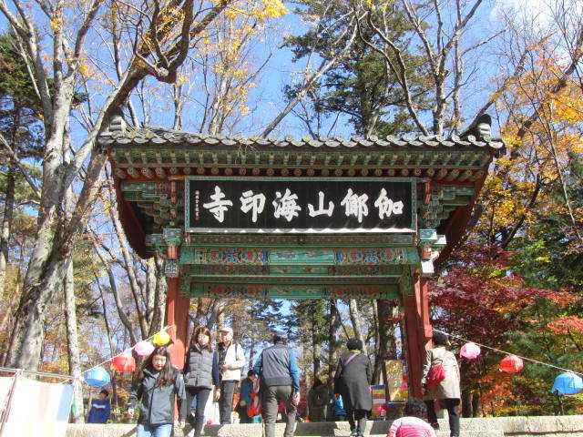 3連休は韓国大邱(テグ)へ!_a0100706_23001496.jpg
