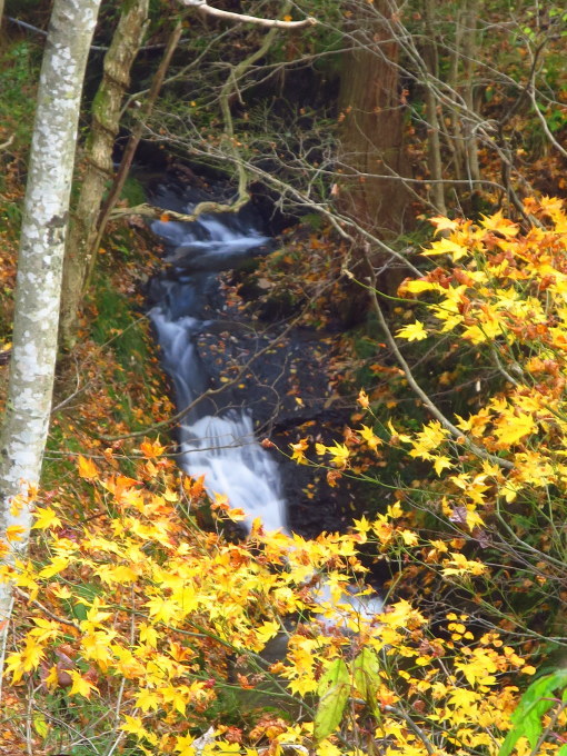 a0214206_23324948.jpg