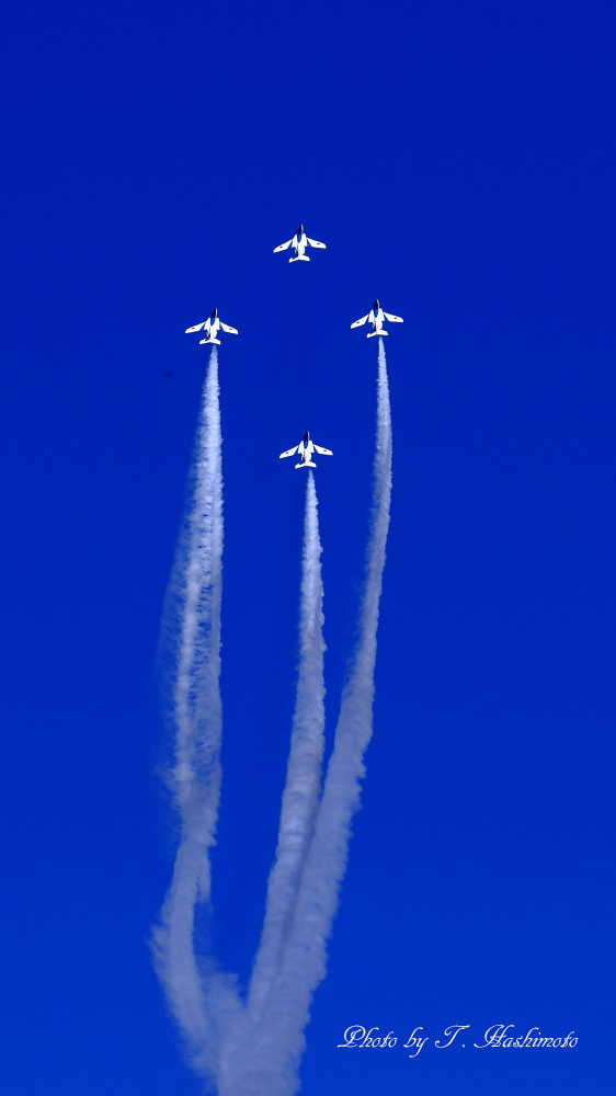 入間航空祭2017_d0334006_15515229.jpg