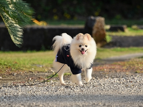 朝帰りして感謝して_d0360206_02563248.jpg