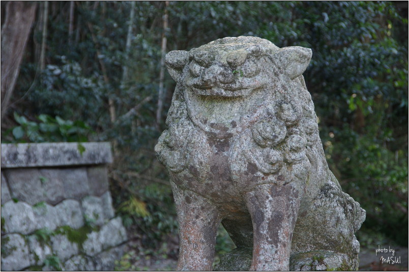 三重県伊賀　荒木又右衛門誕生地訪問　のち思い出す為置く　後編_d0342307_12064547.jpg