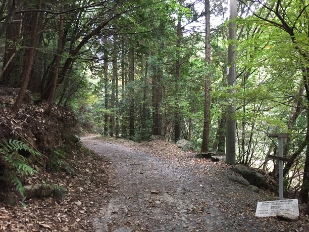 f0364707_16521853.jpg
