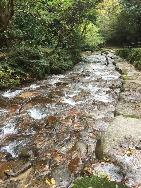 御手洗（おちょうず）の滝（鳥栖市立石町）_f0364707_16544944.jpg