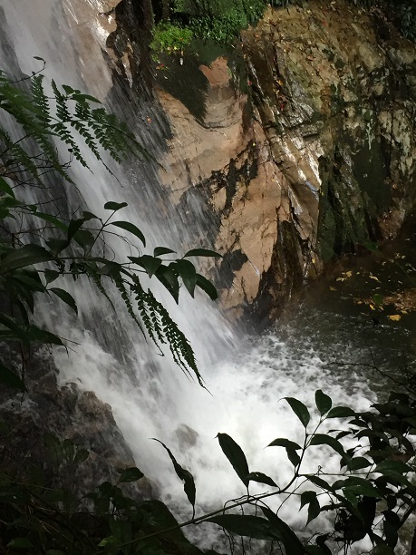 f0364707_17030921.jpg
