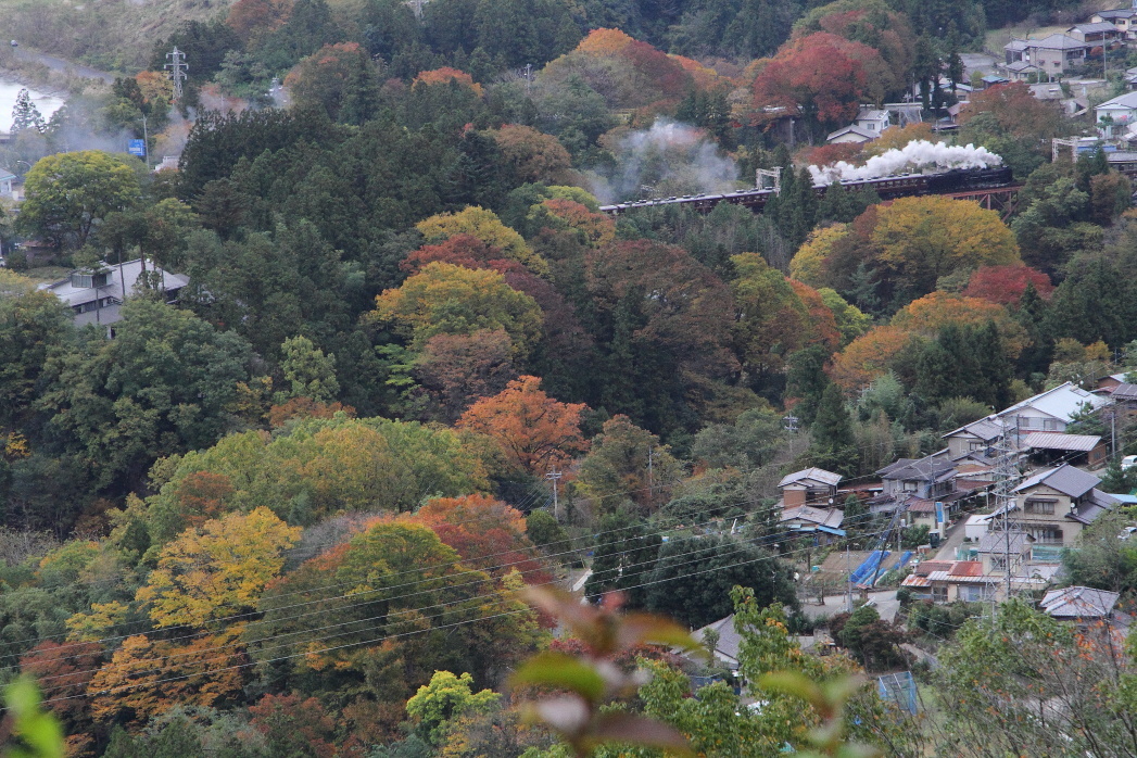 色づいた浦山川 - 秩父・2017年秋 -_b0190710_23443270.jpg