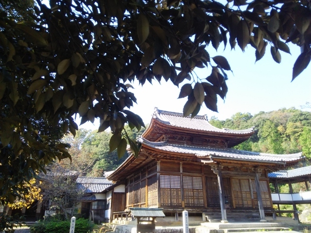 e0033713_10521686.jpg
