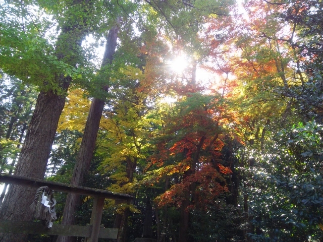 e0033713_10564554.jpg