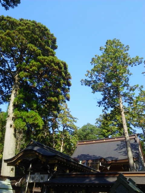 e0033713_10581412.jpg