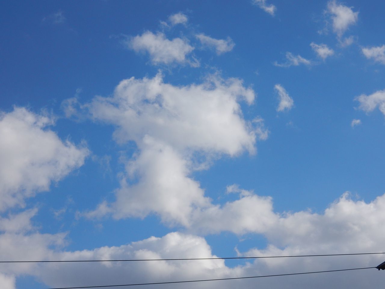 冬は足踏み_c0025115_21023890.jpg