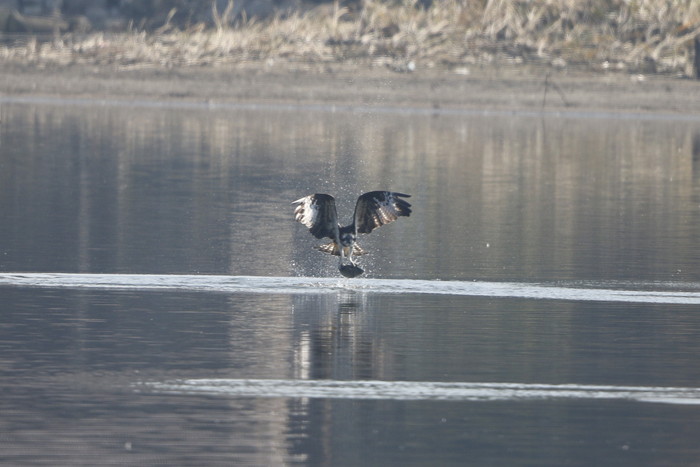 f0239515_20101075.jpg