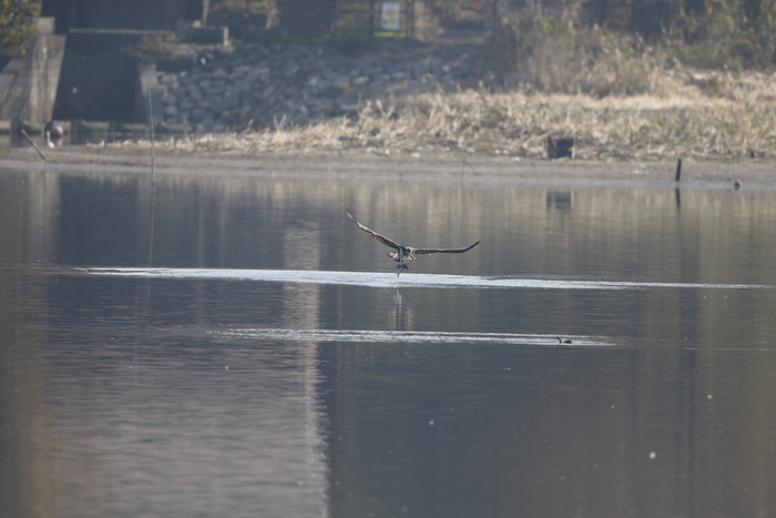f0239515_20143531.jpg