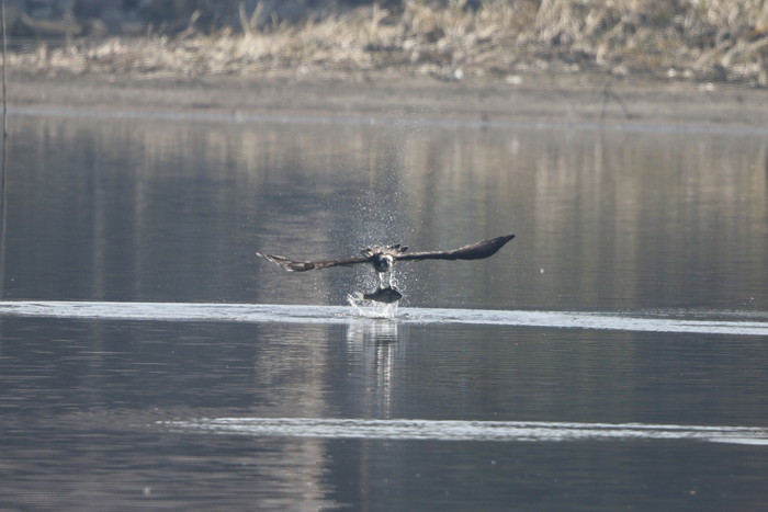 f0239515_209254.jpg