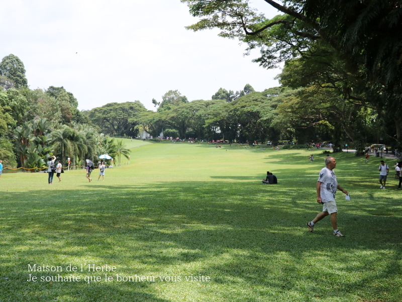 The Istana_f0301515_12084987.jpg