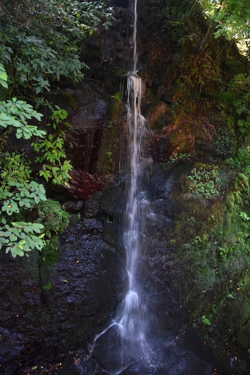 d0065116_22175093.jpg