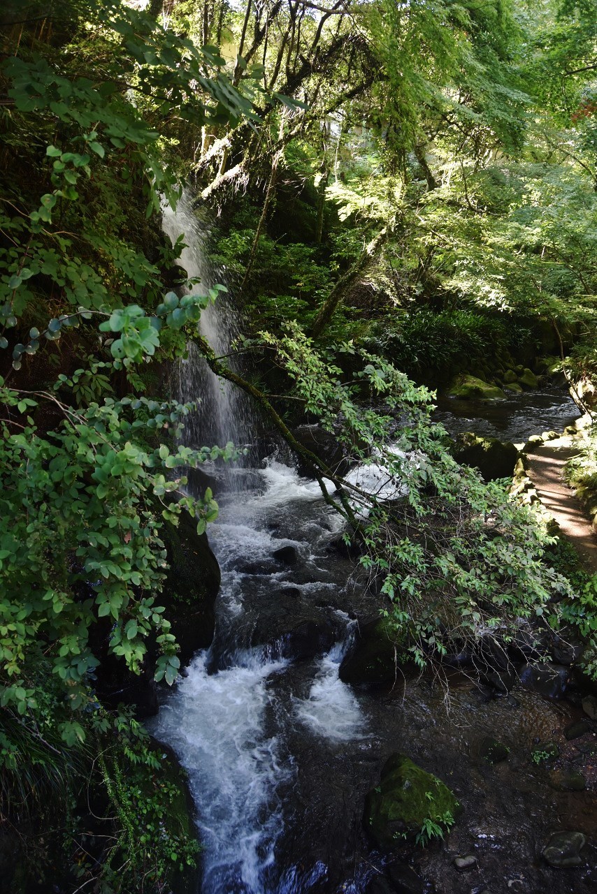 d0065116_22191650.jpg