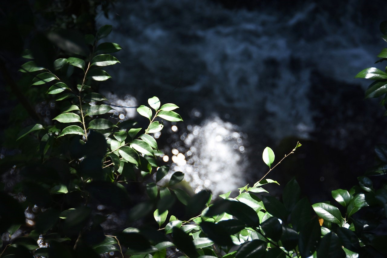 d0065116_22200021.jpg