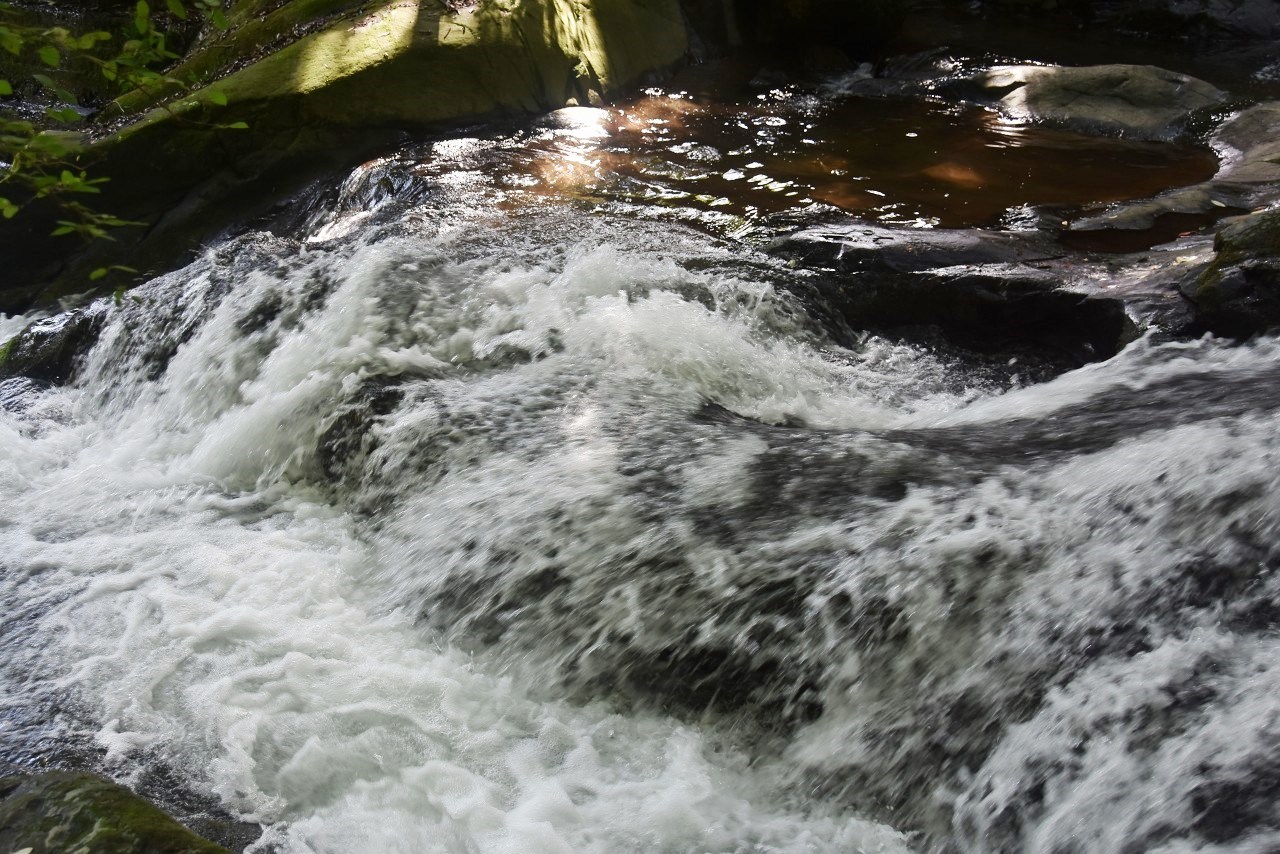 d0065116_22222298.jpg