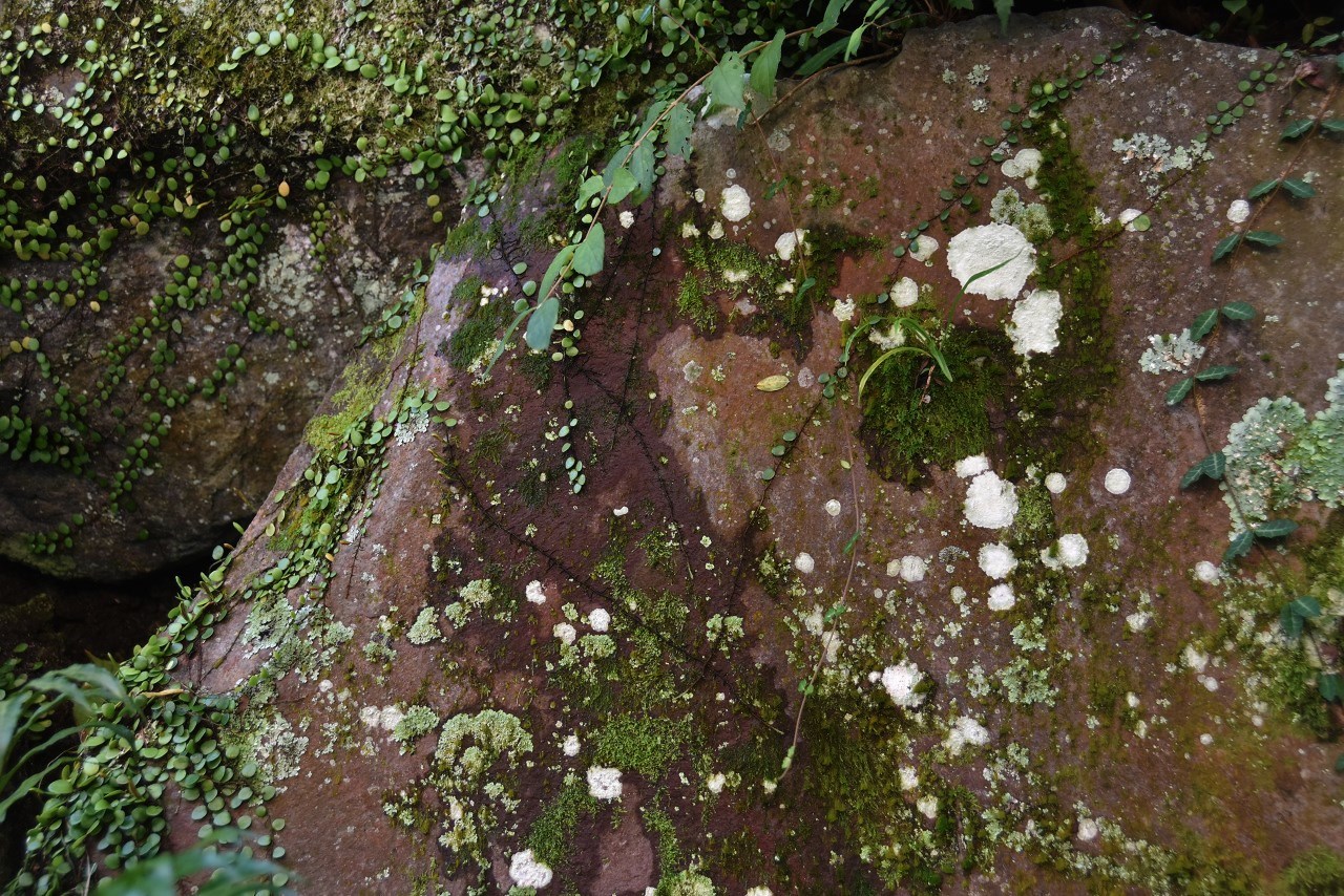 d0065116_22333592.jpg