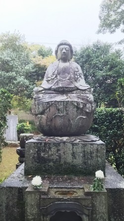 茨城県桜川市 妙法寺 舜義上人即身仏 小山寺 富山観音 月山寺 雨引観音 川沿いのラプソディ 茨城県桜川市 妙法寺 舜義上人即身仏 小山寺 富山観音 月山寺 雨引観音 川沿いのラプソディ