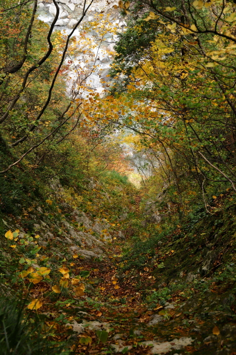 e0169421_20401445.jpg