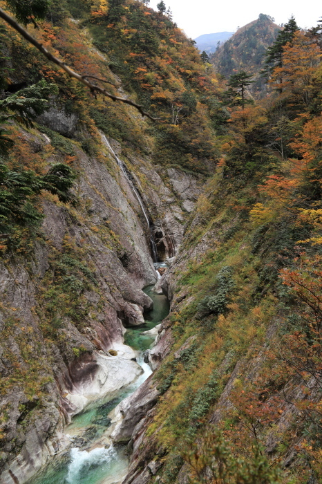 e0169421_20405435.jpg