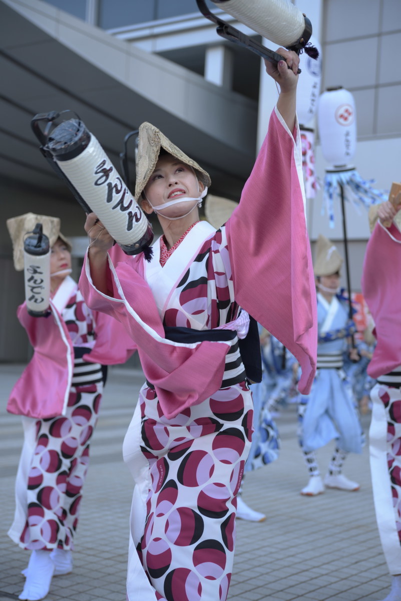 第16回ドリーム夜さ来い　「よんでん」さん　高知県_c0276323_21171861.jpg