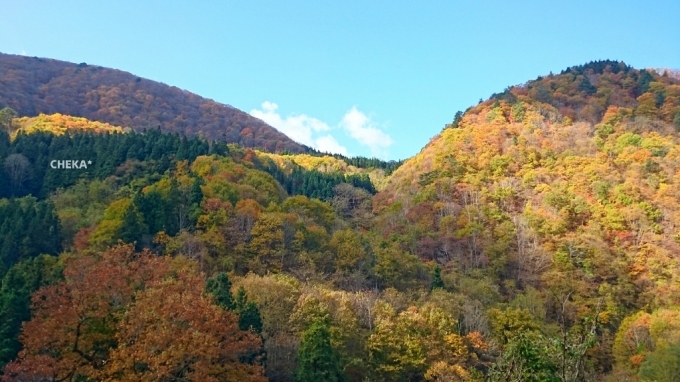 c0229025_08183206.jpg